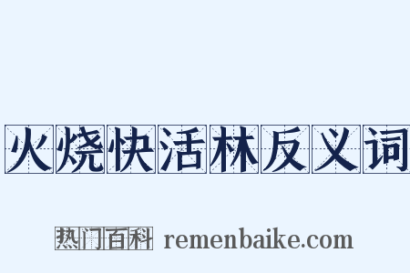 火烧快活林反义词是什么意思的图片